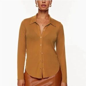 aritzia wilfred pose sheer long sleeve top